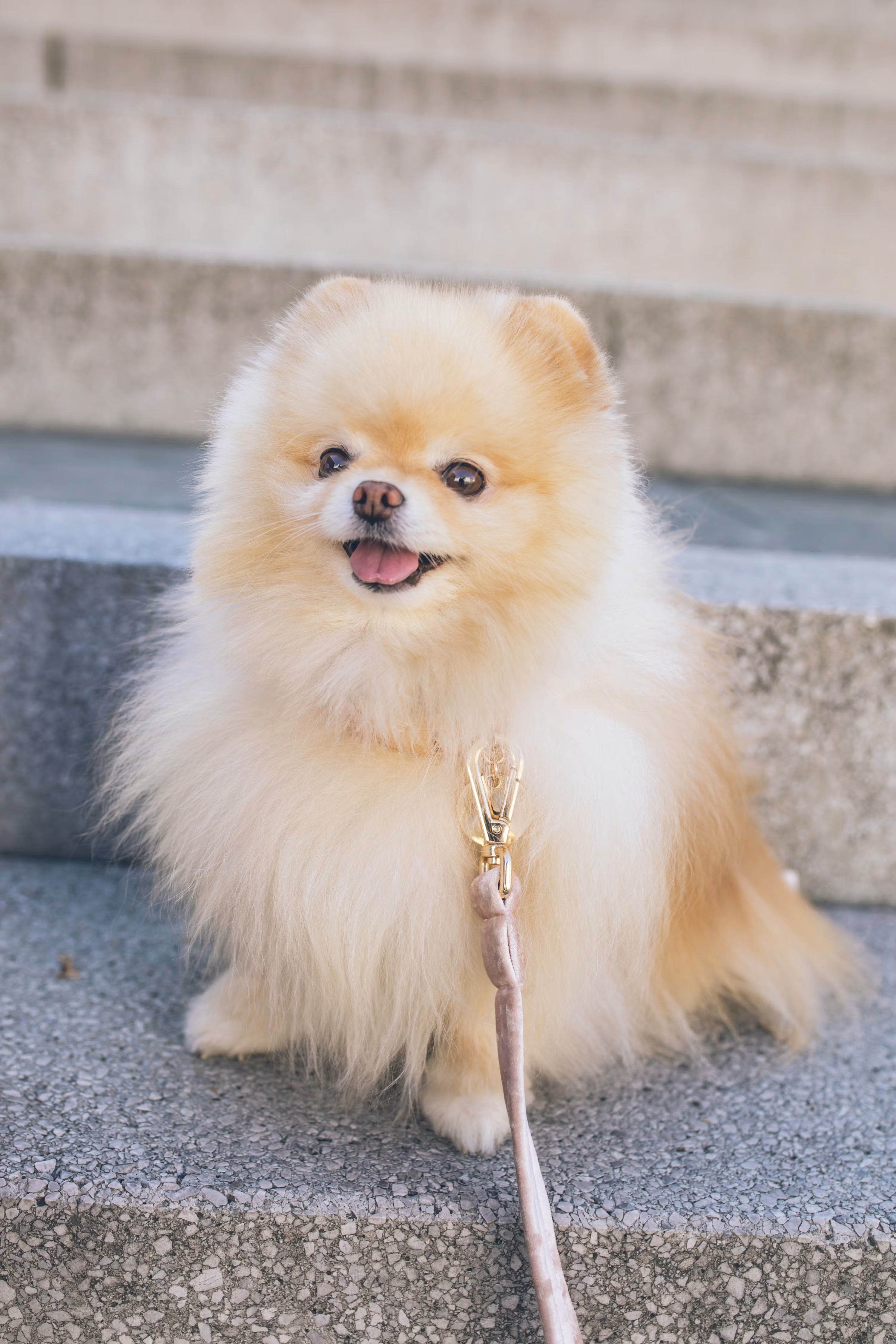 files/photo-1582456891925-a53965520520.avif